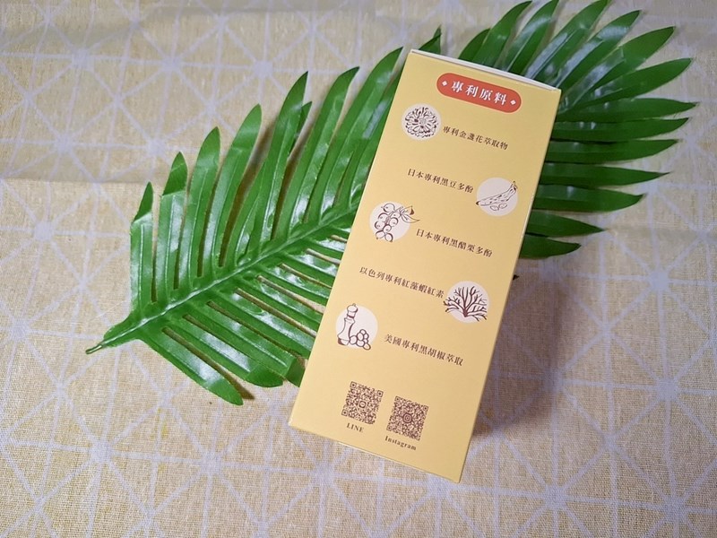 試用